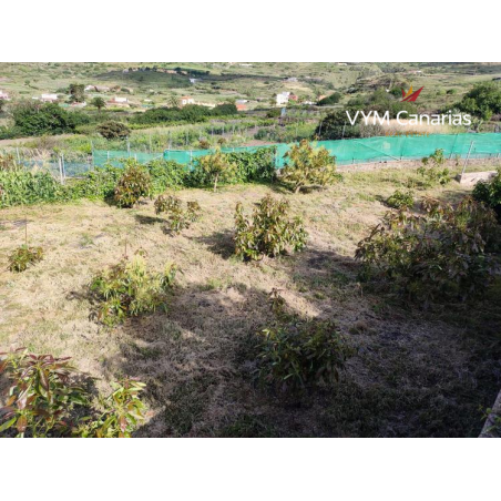 Sprzedaż - Nieruchomości - Land - Rustico - Buenavista del Norte 1