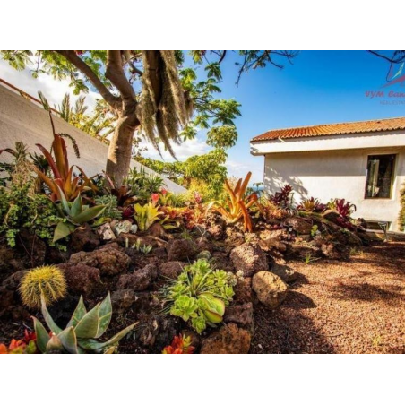 Sprzedaż - Nieruchomości - Dom / Willa - Tabaiba 1