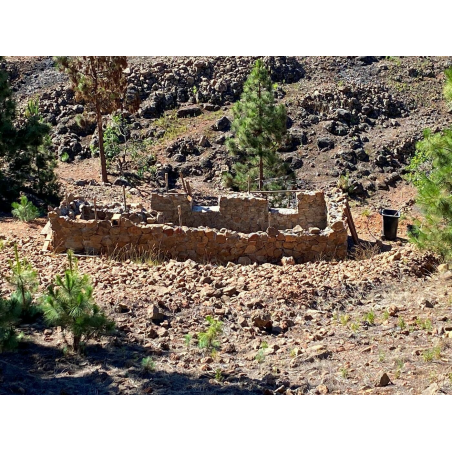 Sprzedaż - Nieruchomości - Land - Adeje, Adeje 1