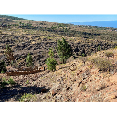 Sprzedaż - Nieruchomości - Land - Adeje, Adeje 1