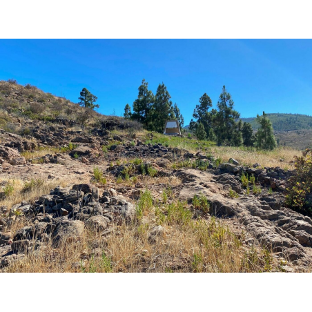 Sprzedaż - Nieruchomości - Land - Adeje, Adeje 1