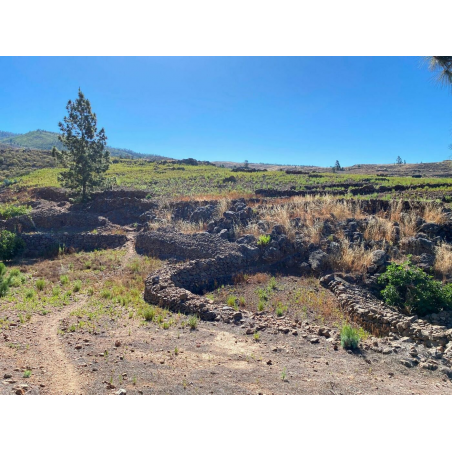 Sprzedaż - Nieruchomości - Land - Adeje, Adeje 1