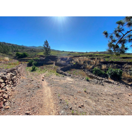 Sprzedaż - Nieruchomości - Land - Adeje, Adeje 1