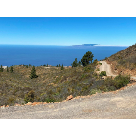 Sprzedaż - Nieruchomości - Land - Adeje, Adeje 1