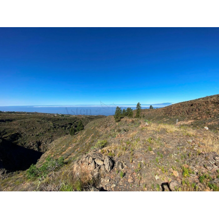 Sprzedaż - Nieruchomości - Land - Adeje, Adeje 1