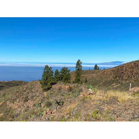 Sprzedaż - Nieruchomości - Land - Adeje, Adeje 1