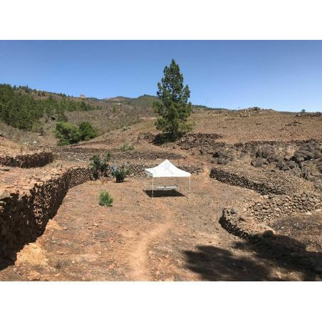 Sprzedaż - Nieruchomości - Land - Adeje, Adeje 1