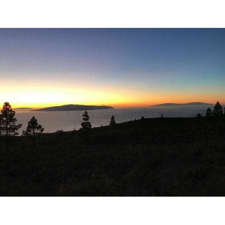 Sprzedaż - Nieruchomości - Land - Adeje, Adeje 1