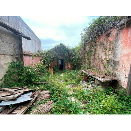 Sprzedaż - Nieruchomości - House - La Matanza de Acentejo 1