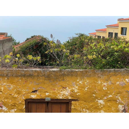 Sprzedaż - Nieruchomości - House - La Matanza de Acentejo 1