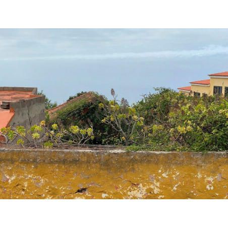 Sprzedaż - Nieruchomości - House - La Matanza de Acentejo 1