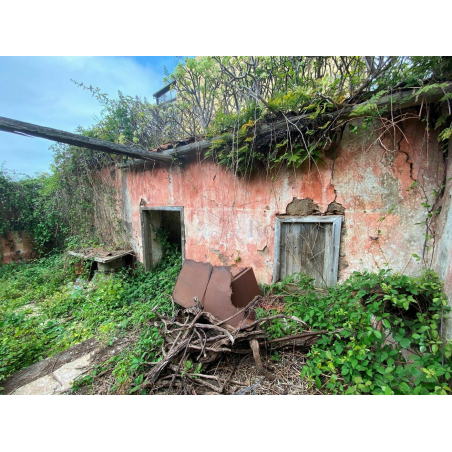 Sprzedaż - Nieruchomości - House - La Matanza de Acentejo 1