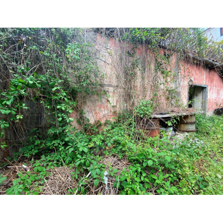 Sprzedaż - Nieruchomości - House - La Matanza de Acentejo 1