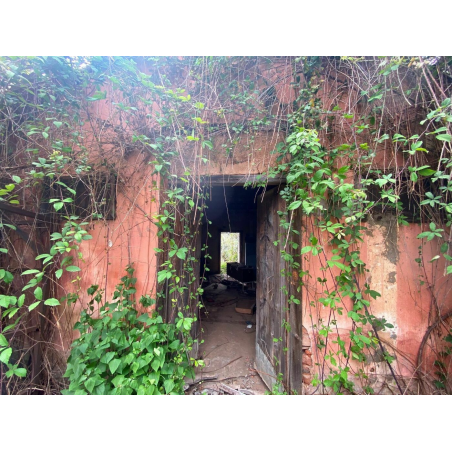 Sprzedaż - Nieruchomości - House - La Matanza de Acentejo 1