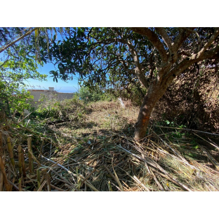 Sprzedaż - Nieruchomości - House - La Matanza de Acentejo 1