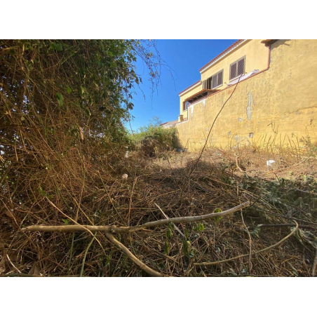 Sprzedaż - Nieruchomości - House - La Matanza de Acentejo 1