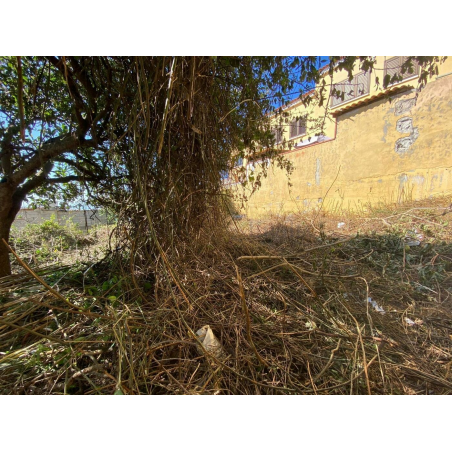 Sprzedaż - Nieruchomości - House - La Matanza de Acentejo 1